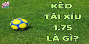 Đôi nét về kèo tài xỉu 1.75 789Club